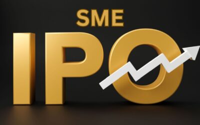 Top Performing SME IPOs of 2024 in India: A Year of High Returns